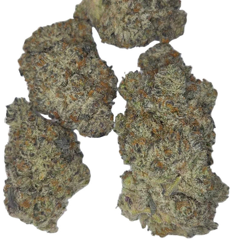 Close-up of dried cannabis buds on a white background
