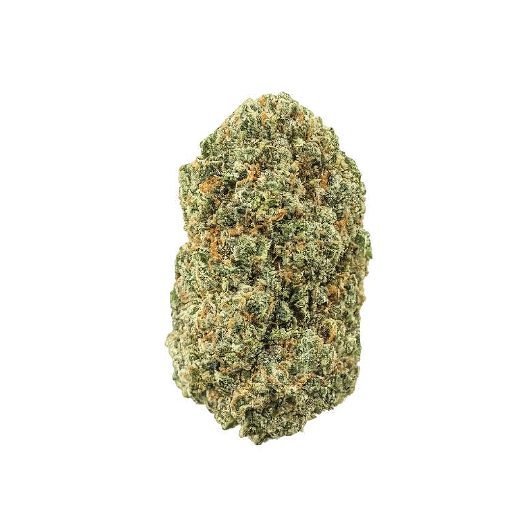 White GMO (Wholesale)