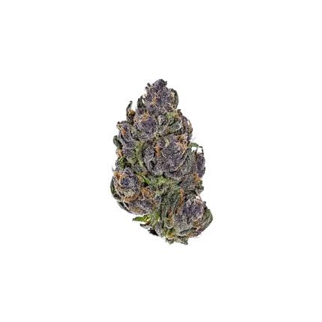 Black Maple