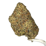 Blue Guava Gelato