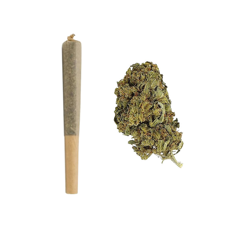 THCa Pre-Rolls