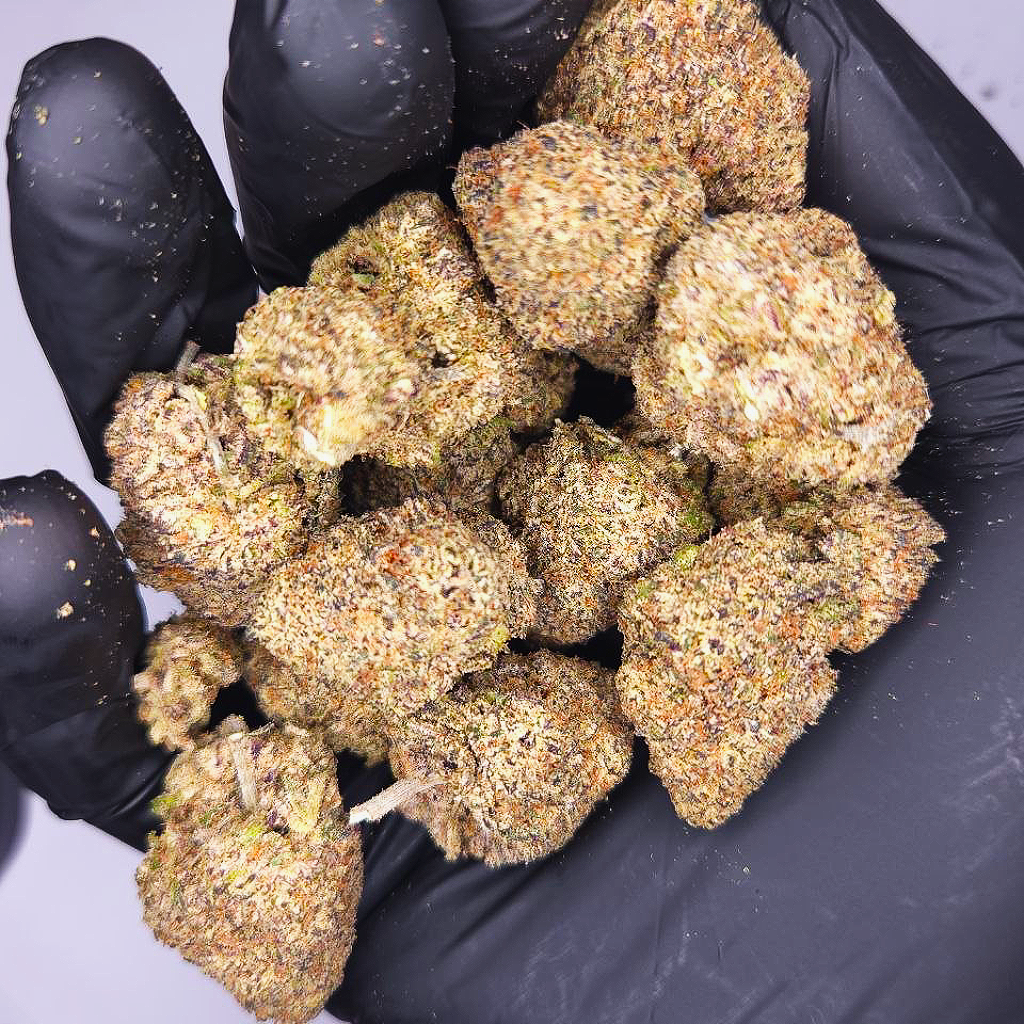 Blue Guava Gelato