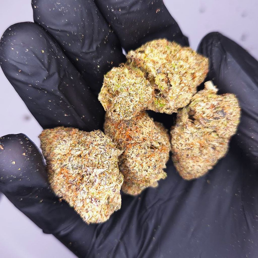 Blue Guava Gelato