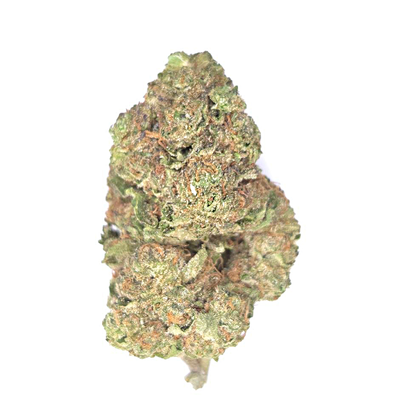 Blue Guava Gelato