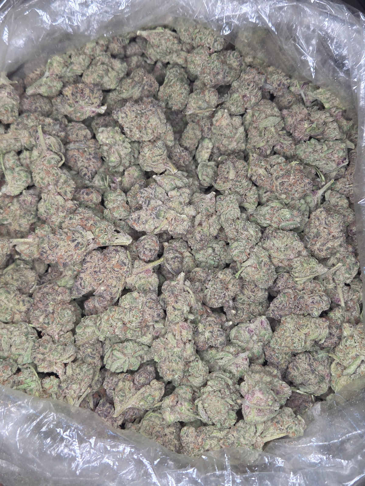 Blueberry Caviar