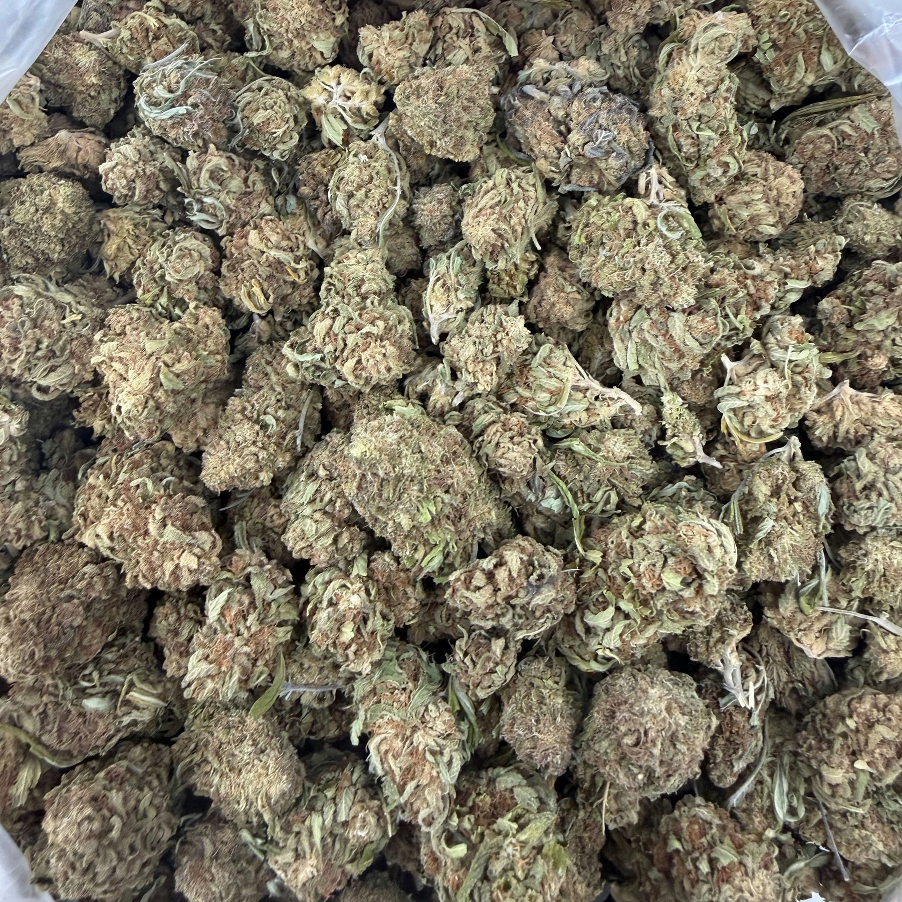 Crazy Glue - Bulk
