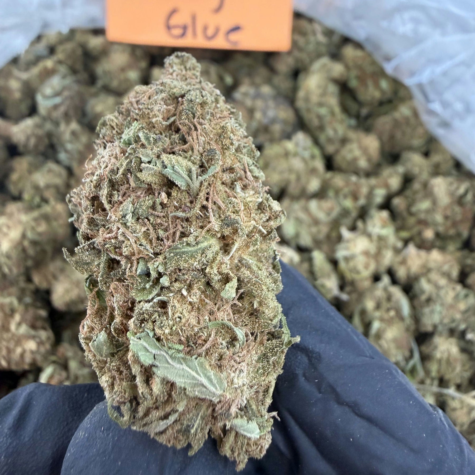 Crazy Glue - Bulk