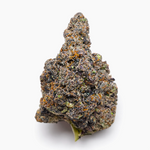 Close-up of a cannabis bud on a white background