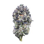Durban Poison