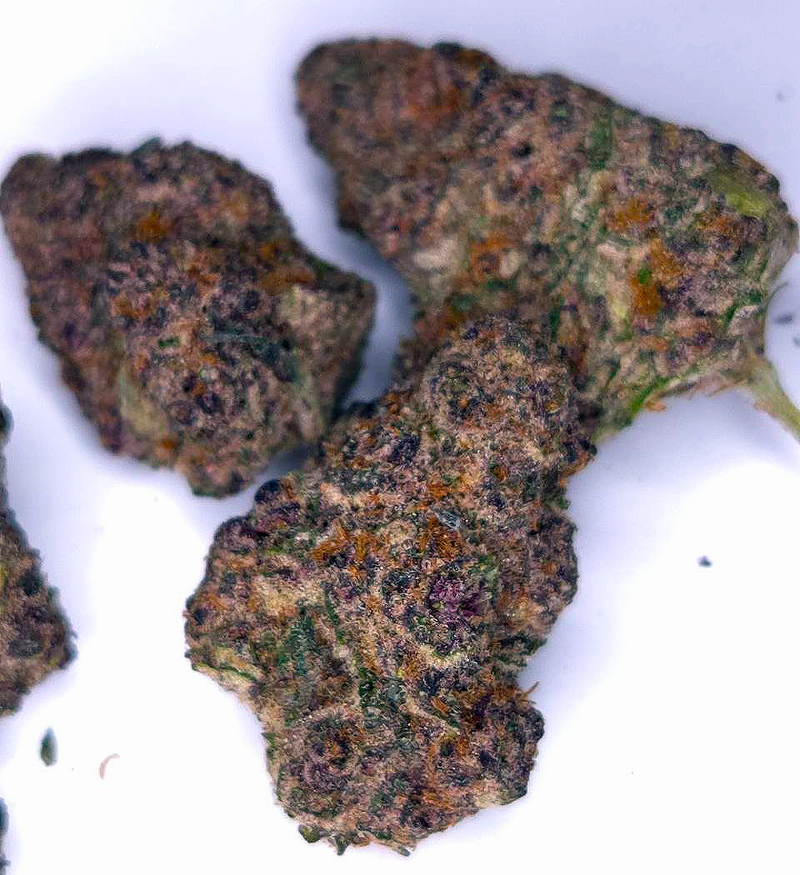 Fat Purple Candy