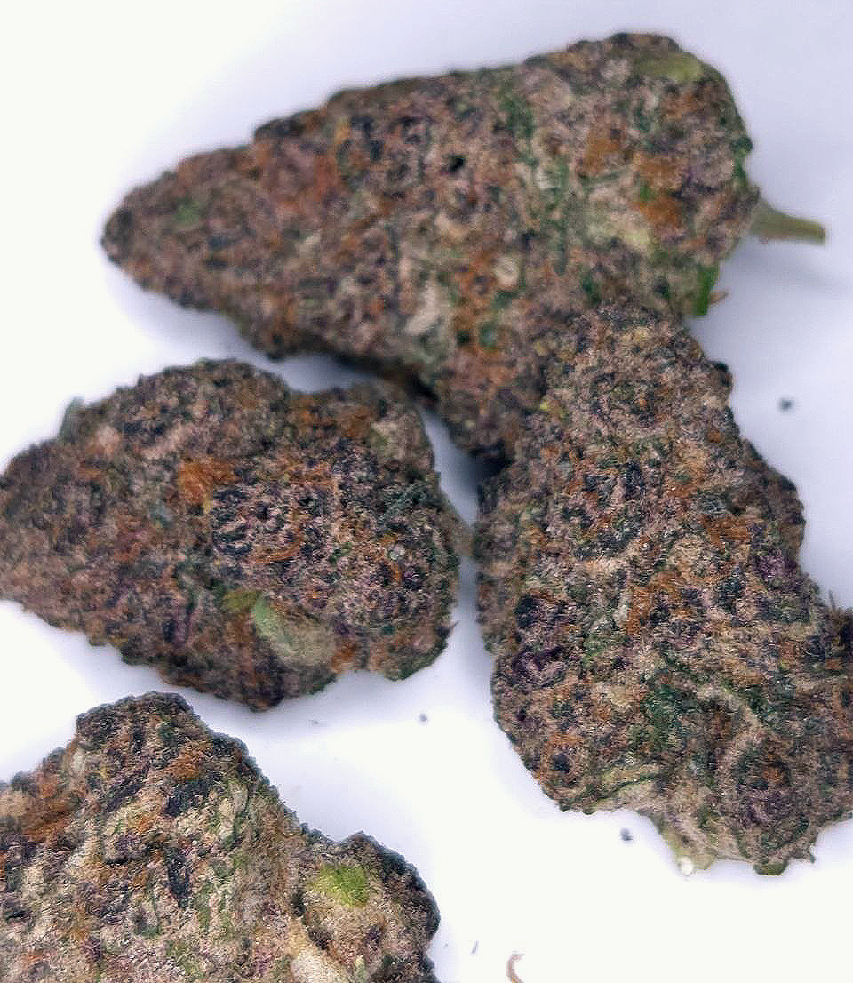 Fat Purple Candy