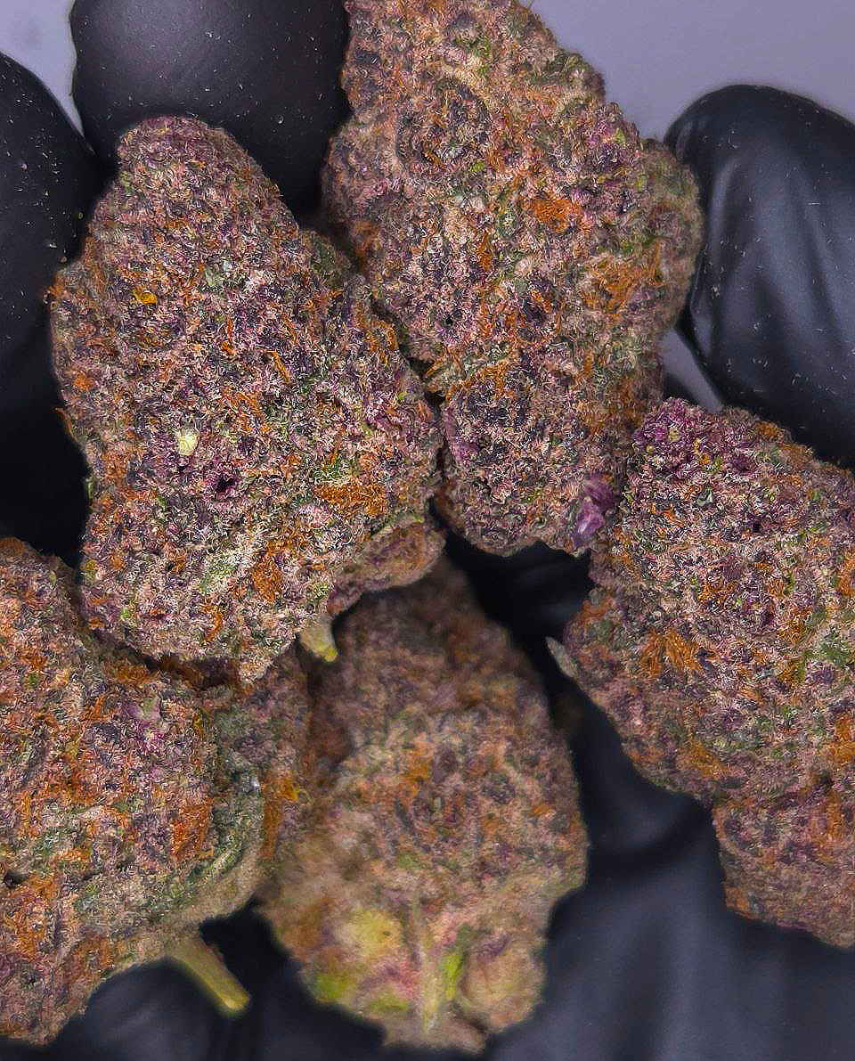 Fat Purple Candy
