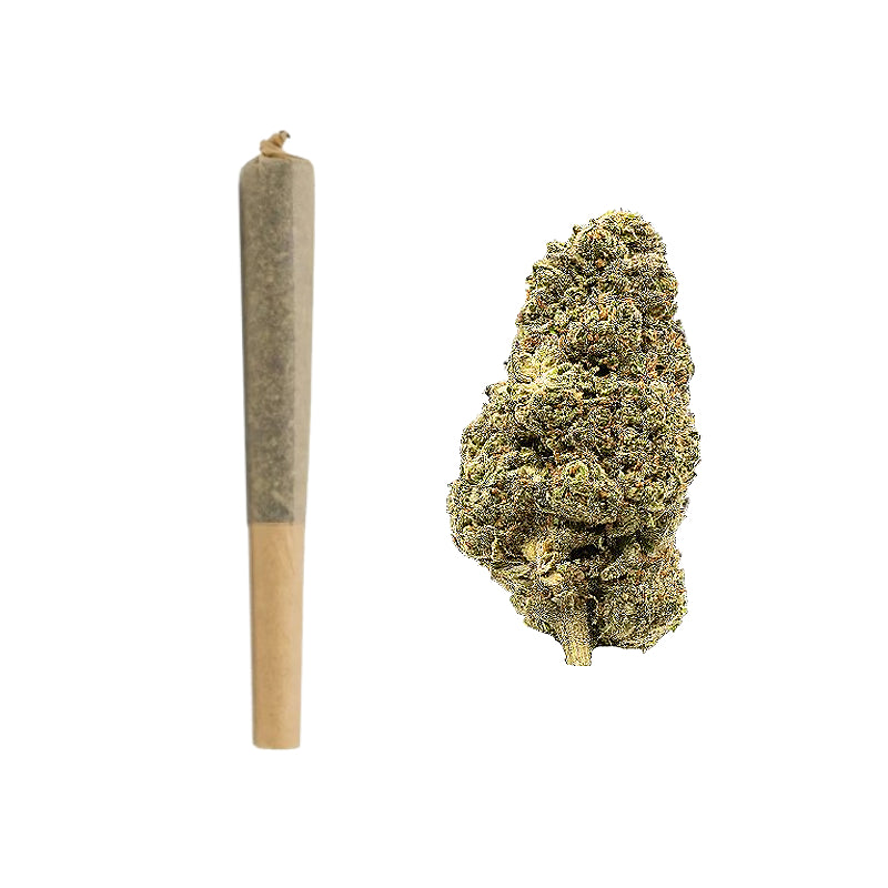 THCa Pre-Rolls