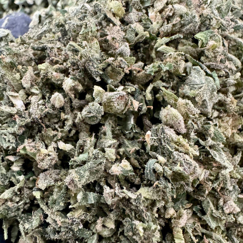 Gas Face Exotic Indoor - Trim