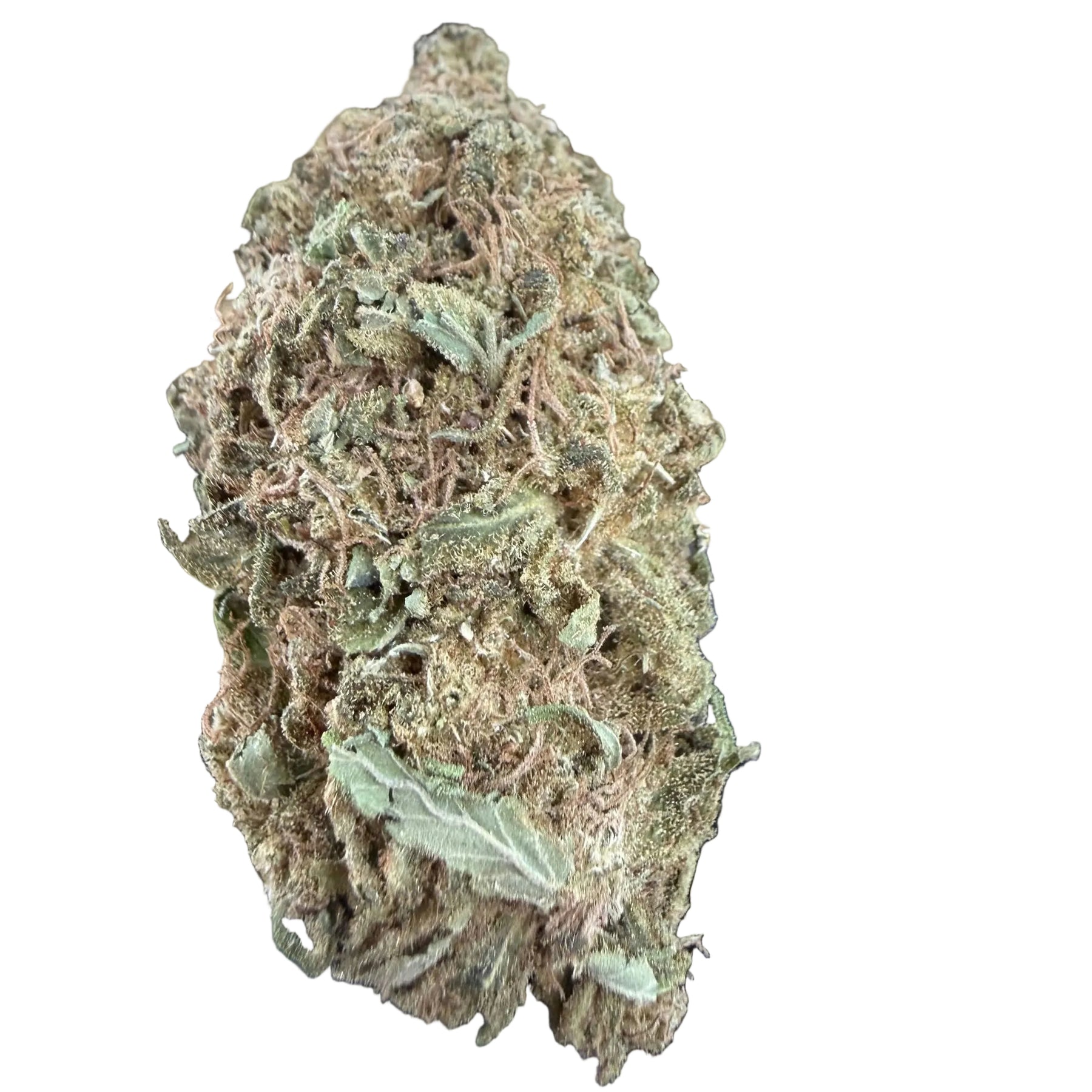 Crazy Glue - Bulk