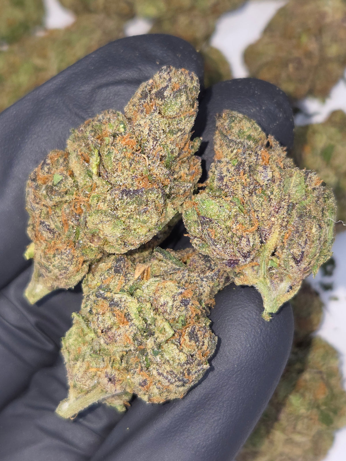 Krunch Berries