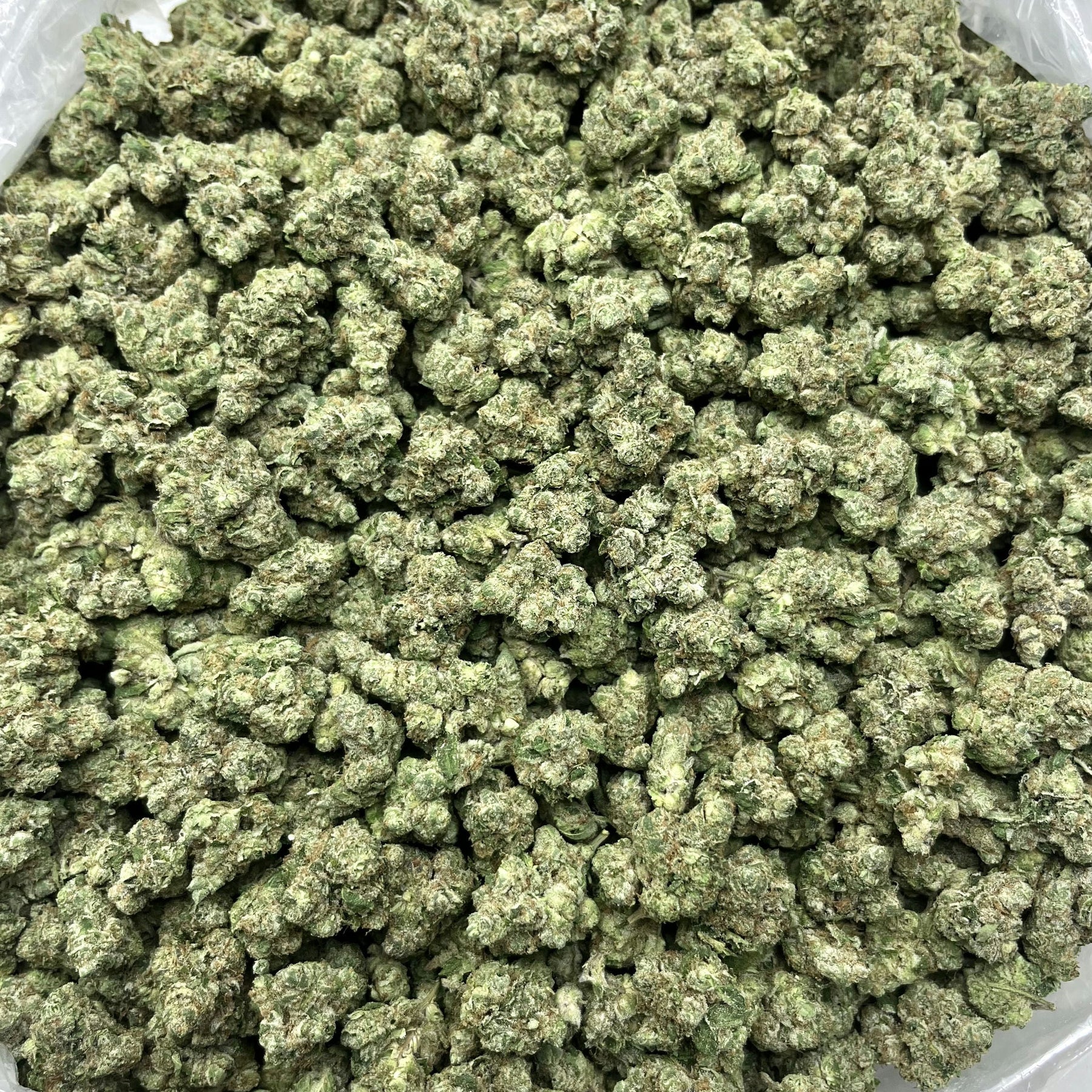 OG Kush
