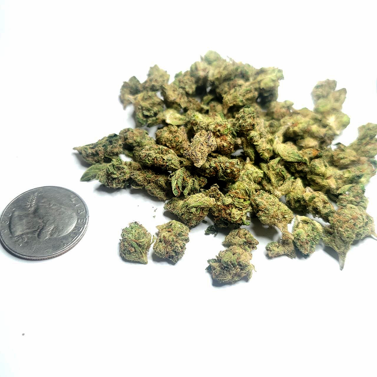 White Runtz - Smalls/Micros