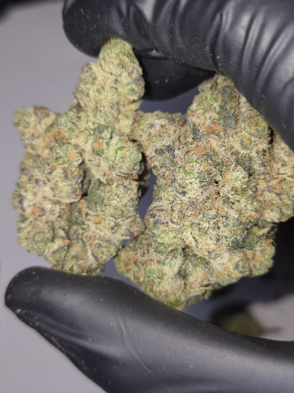 Alien Cherry