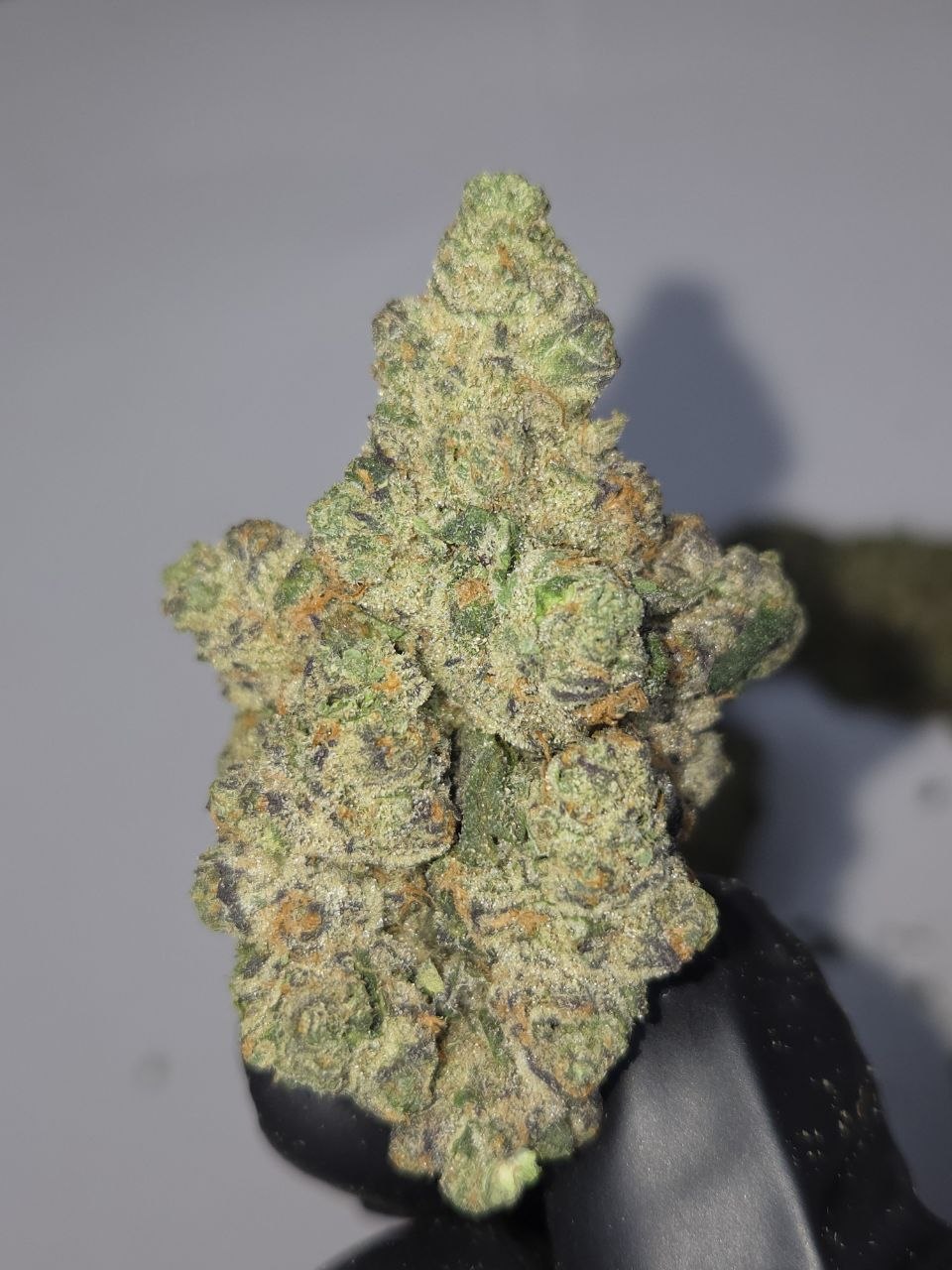 Alien Cherry