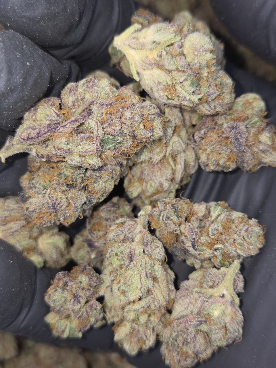 Pink Runtz