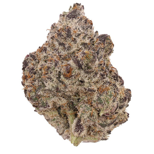 Blockberry Big THCA flower exotic indoor buds with heavy trichomes available for wholesale bulk cannabis buyers
