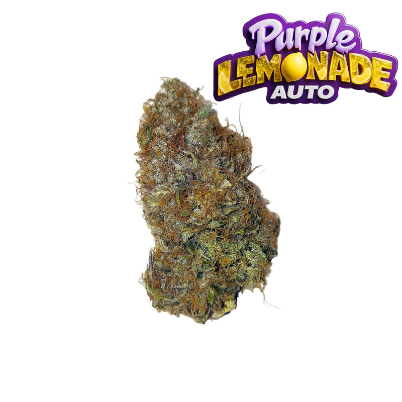 Purple Lemonade