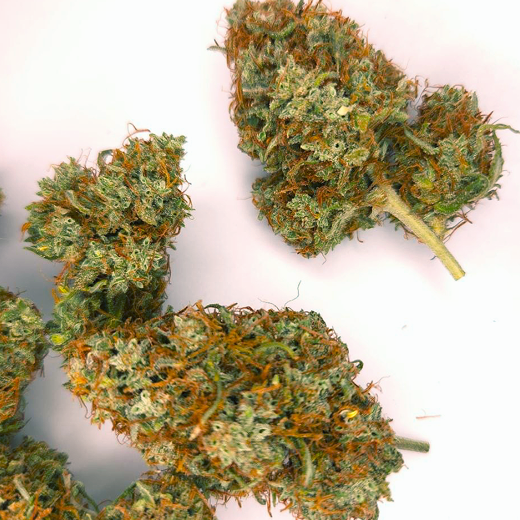 Purple Haze