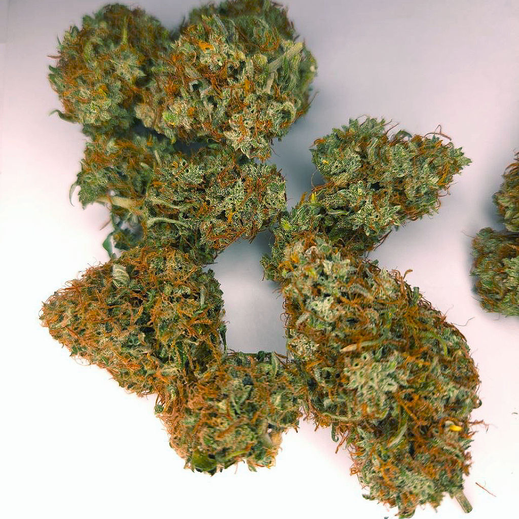 Purple Haze