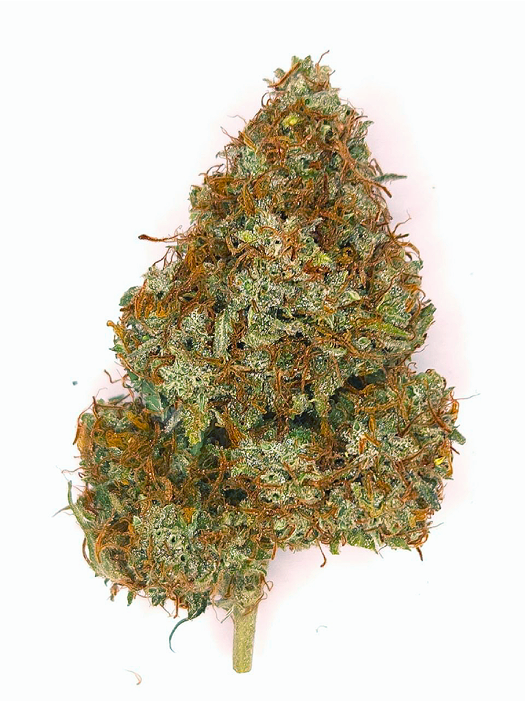 Purple Haze