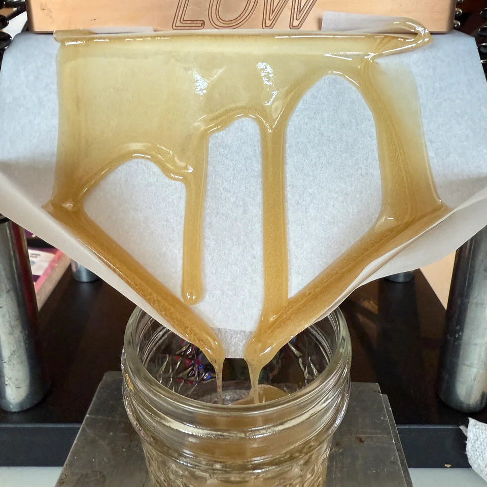 Solventless THCA Live Hash Rosin