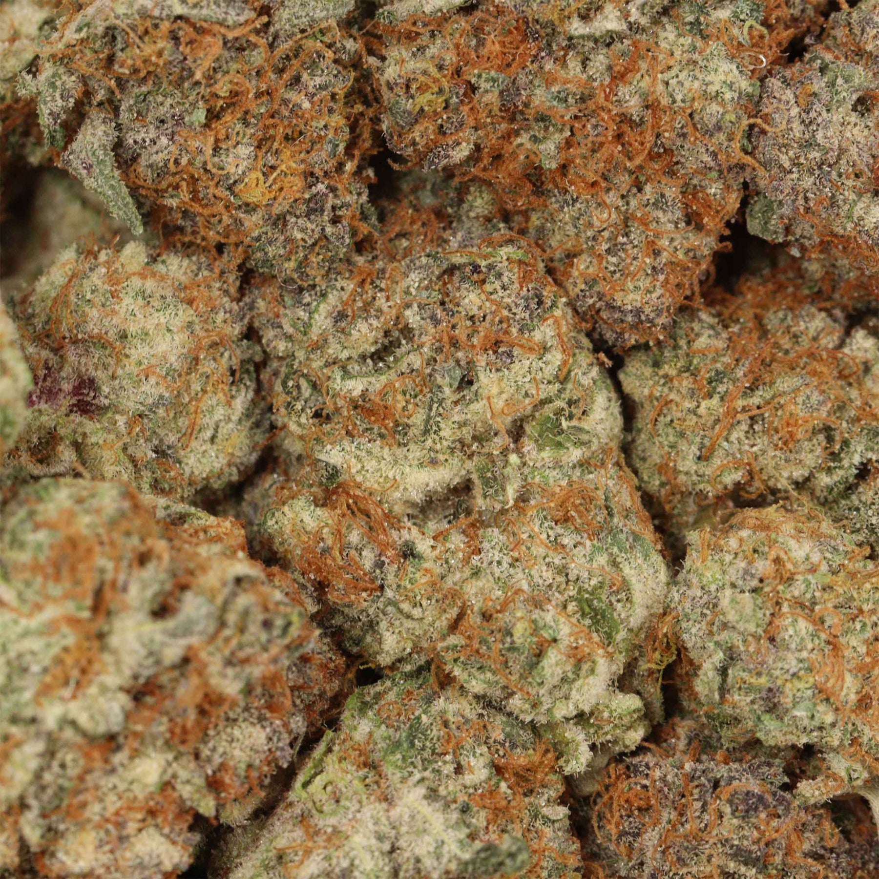 Trainwreck