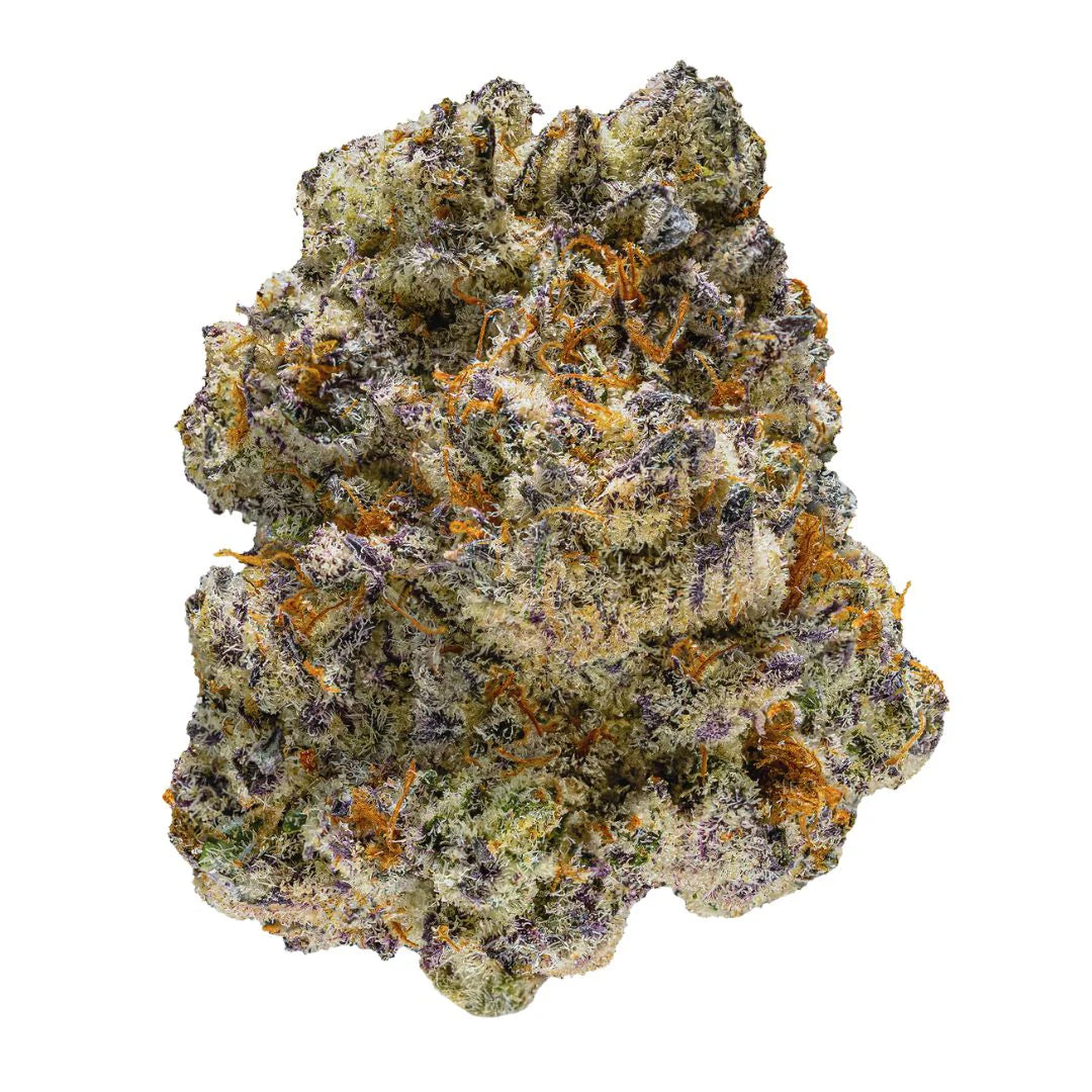 Close-up of a cannabis bud with green, orange, and purple colors on a white background
